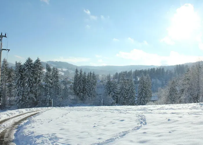 Ale Widok בית אירוח ויסלאו